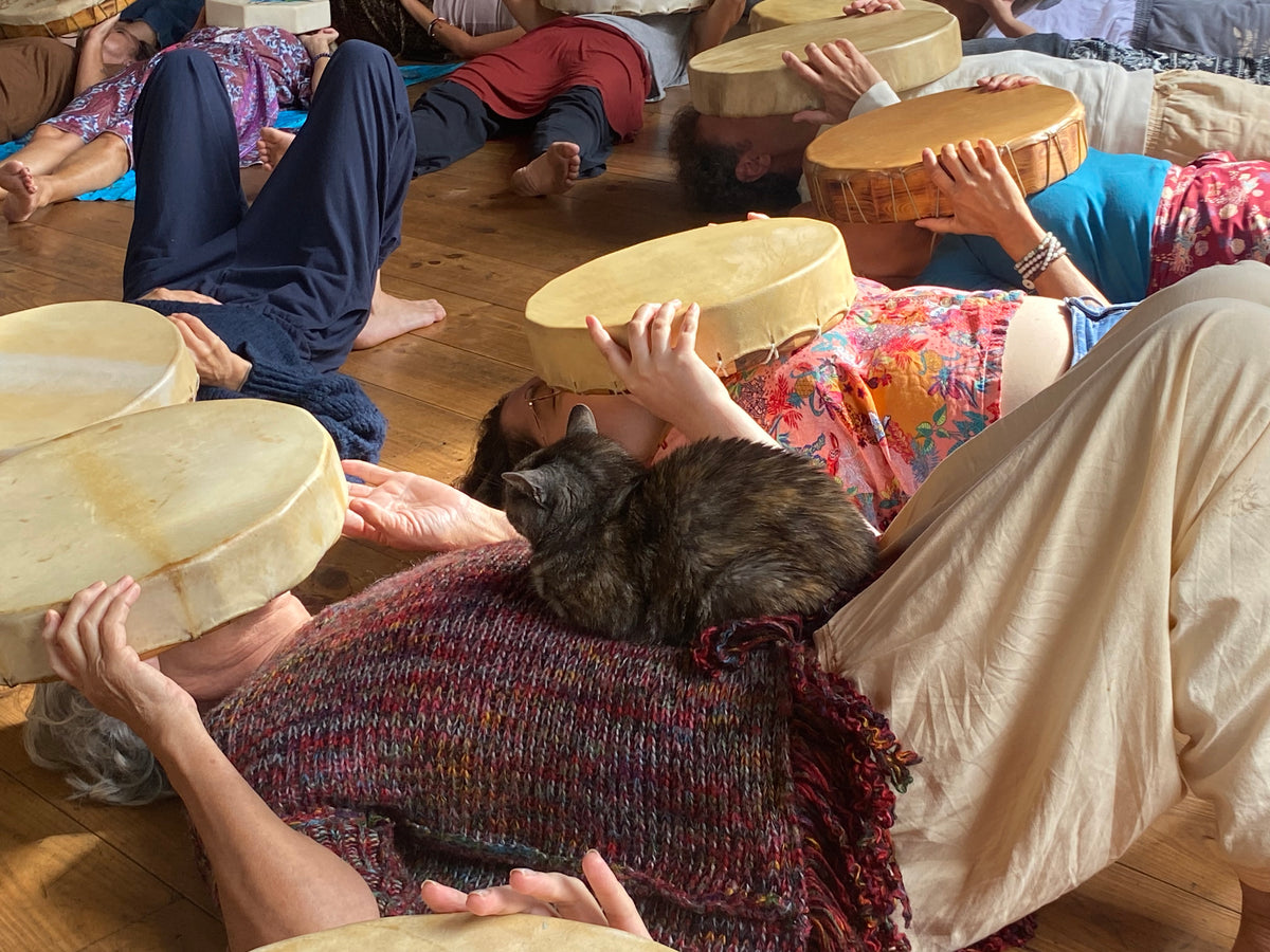 Cercle de tambours partagé lors d'un stage Tambours Sacrés, ambiance conviviale et chaleureuse