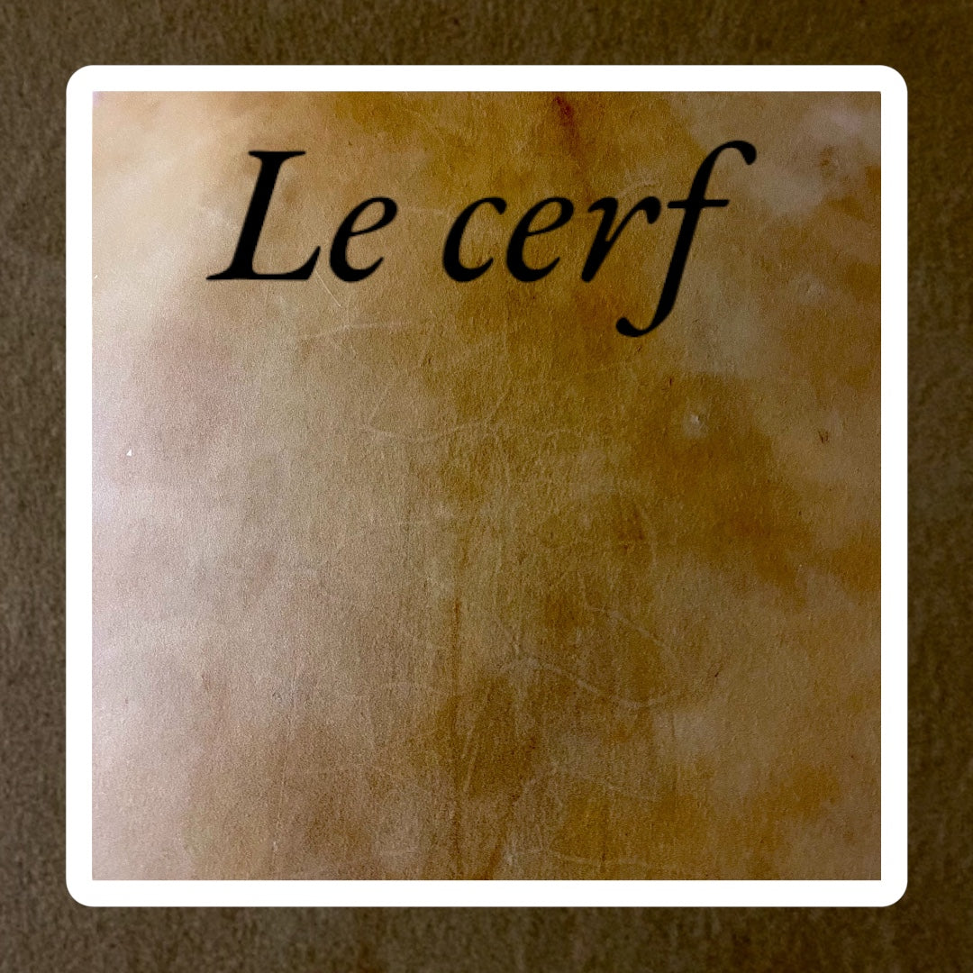 Peau de cerf pour tambour chamanique artisanal pyrénéen - Tambours Sacrés Pays Basque